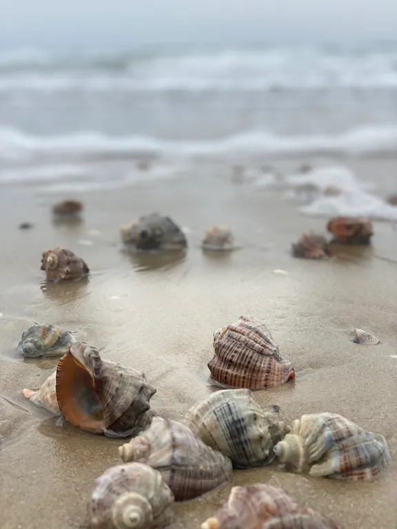 Апартамент полулюкс у моря