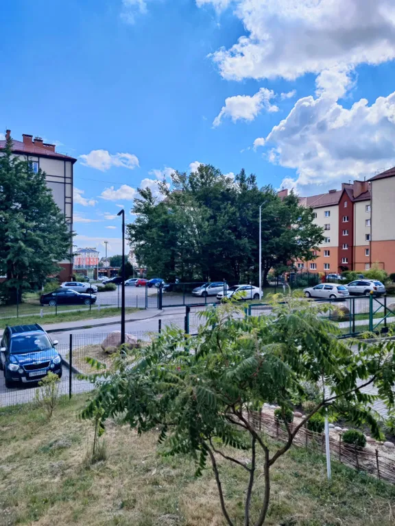 Квартира Комфортная квартира — Светлогорск