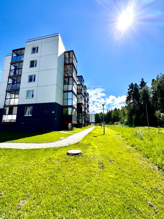 Уютная студия рядом с лесом