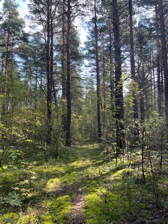 Большой уютный дом на озере