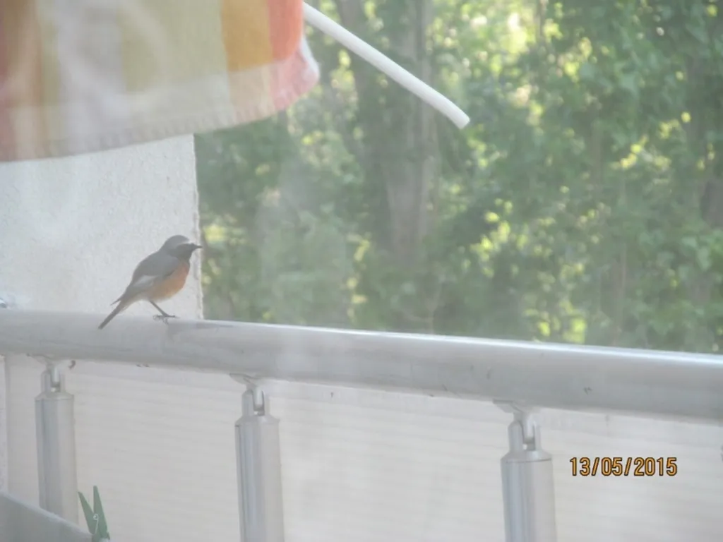 Современная 2-шка у моря