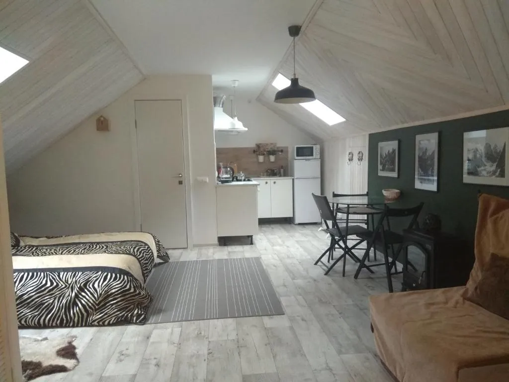 Студия на мансарде