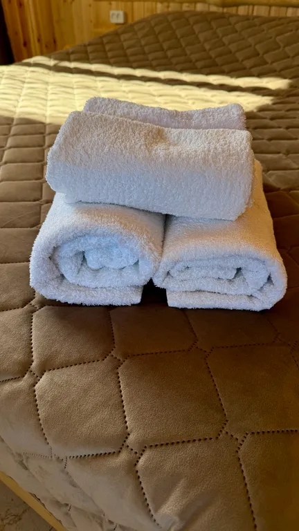 Дом с бассейном и баней