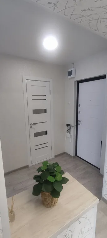 Просторная студия в центре города