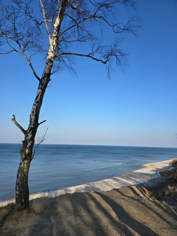 Изумительные 3-комнатные апартаменты с собственным участком земли