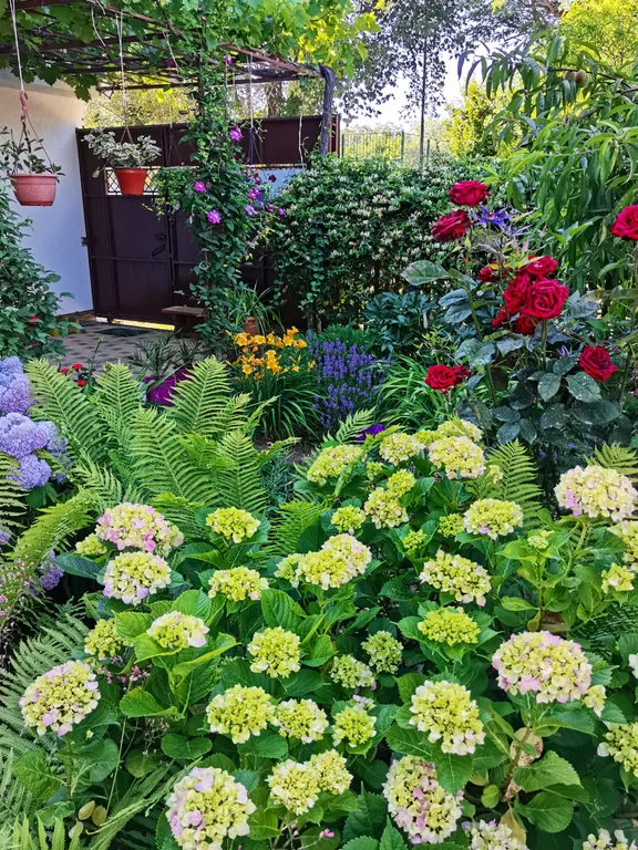 2-комнатный Дом