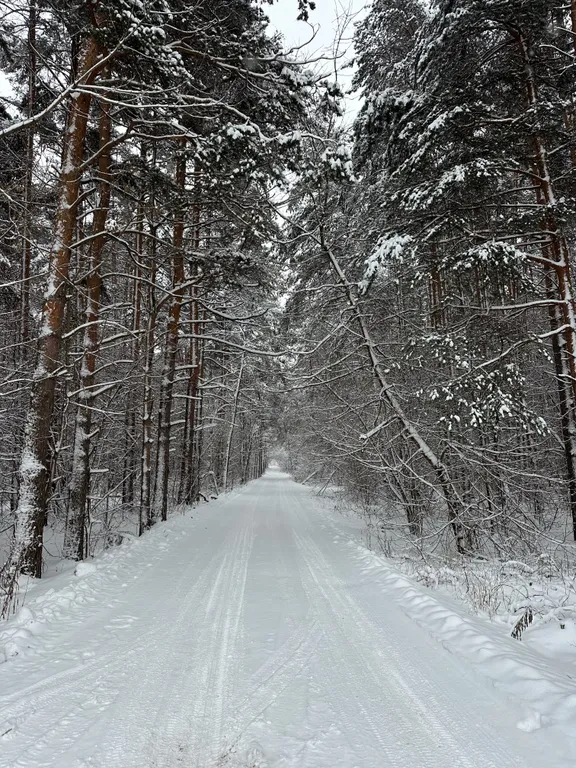 Купольный дом с баней и купелью в лесу в Москве