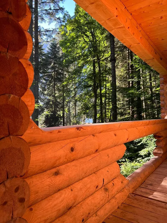 Домик в лесу