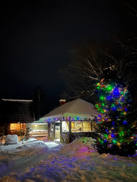 Кедровый уют у реки, ваше восстановление на Алтае