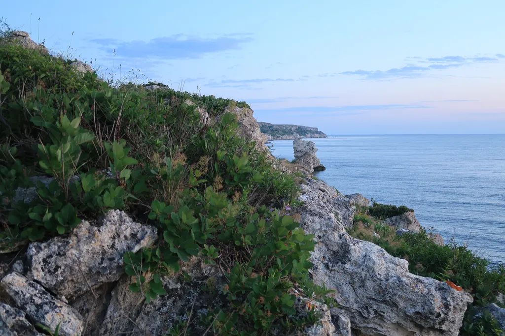 Афрейм в Оленевке