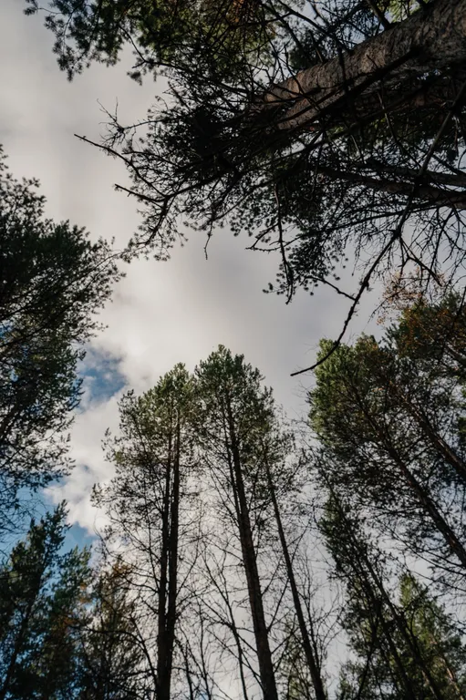 Загородный отдых в уютном доме