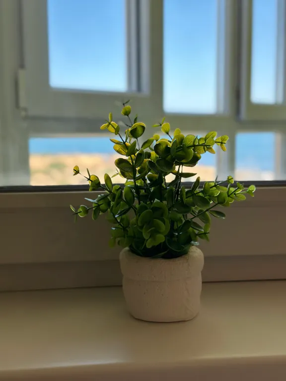 Квартира Апартаменты с видом на море — Севастополь