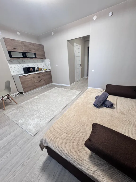 Уютная студия в новом доме с красивейшим видом