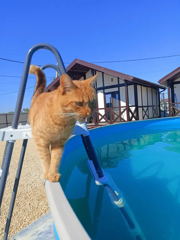 Коттедж Дом с бассейном у моря — аренда посуточно в Голубицкая