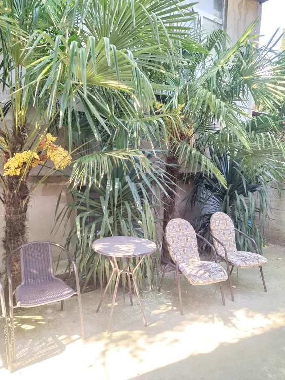 Уютная студия в центре Ялты