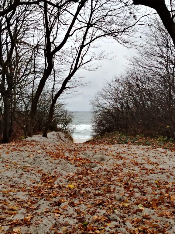 Домик у моря