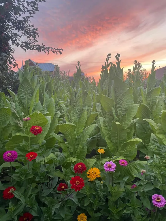 Уютный гостевой эко-дом Sova