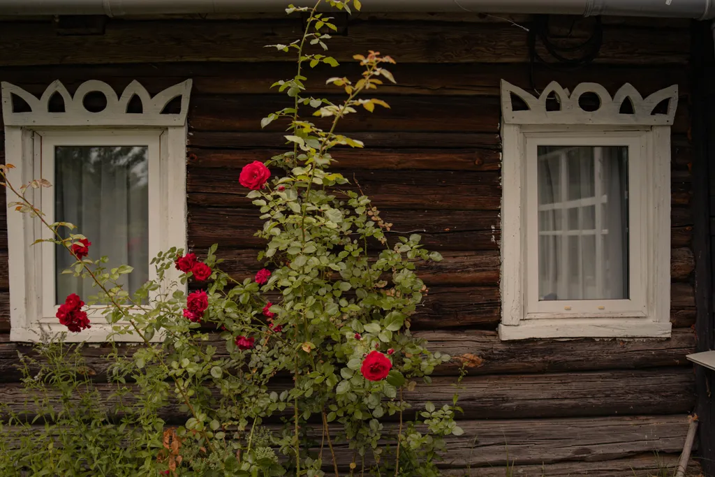 Деревенский дом, как в детстве, у реки Березена