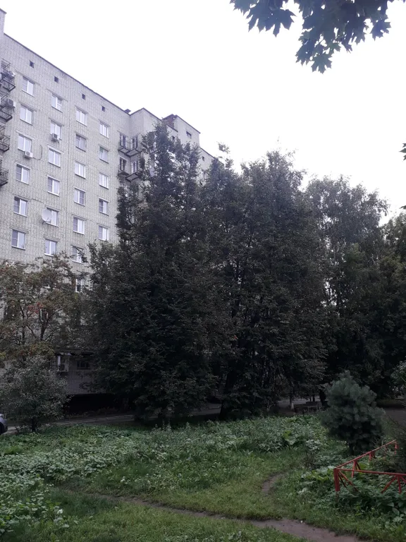 Все сюда лучше здесь квартиры Рыбинск Андрей Остин я есть в Вк