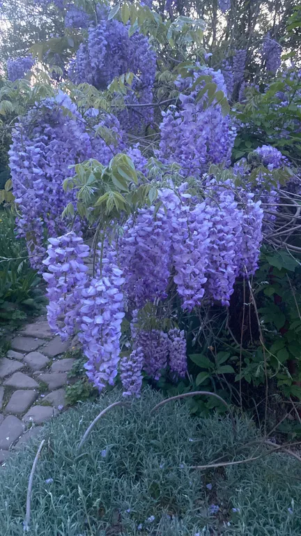 Квартира Уютная квартира в живописном городе — Горячий Ключ