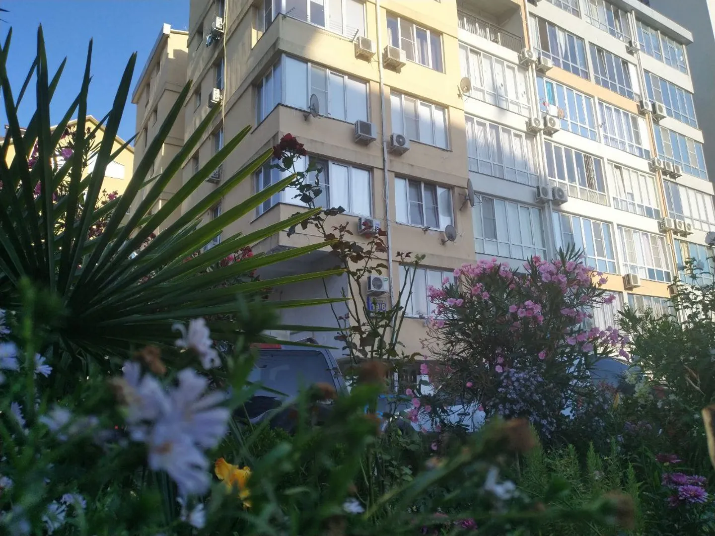 Дои огорожен, парковка камерами видео наблюдения, рядом детская площадка и прогулочная набережная реки, ведущая на пляж (пешком 15-20 мин.) н