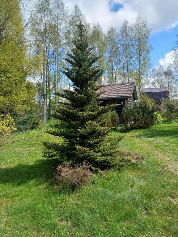 Гостевой Дом у Нерли