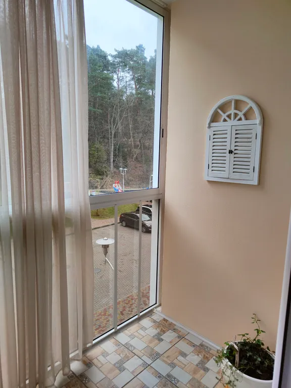 Квартира 1-комнатная Квартира — Светлогорск