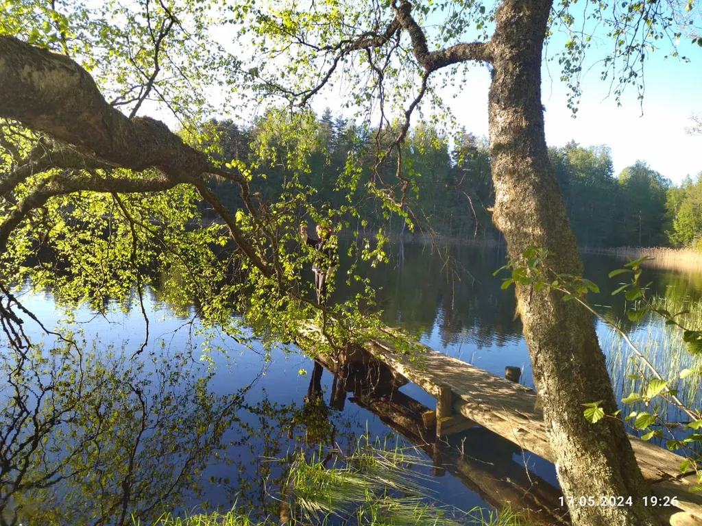 Коттедж Дом среди трех озёр — Луга