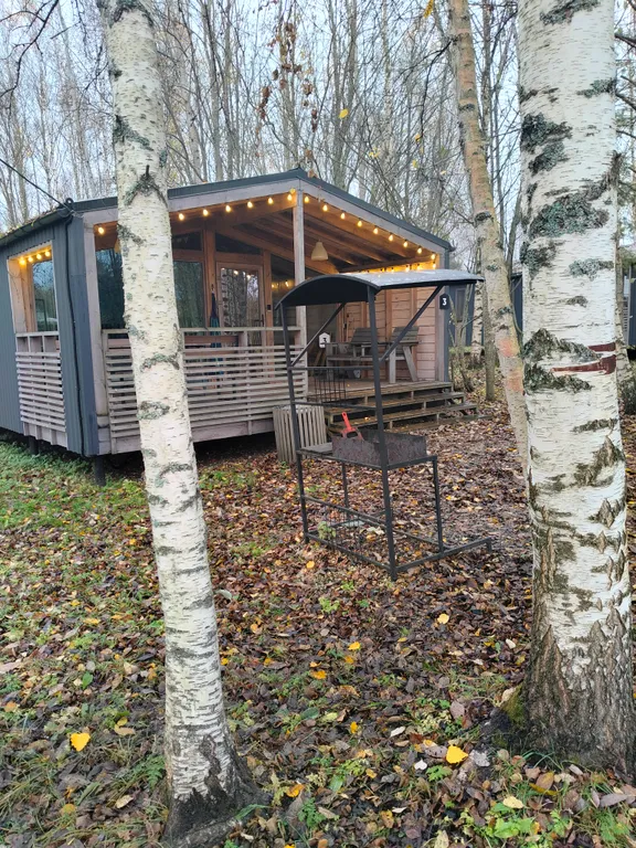 Дом с березами