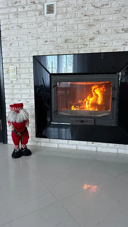 Дом на участке 12 соток