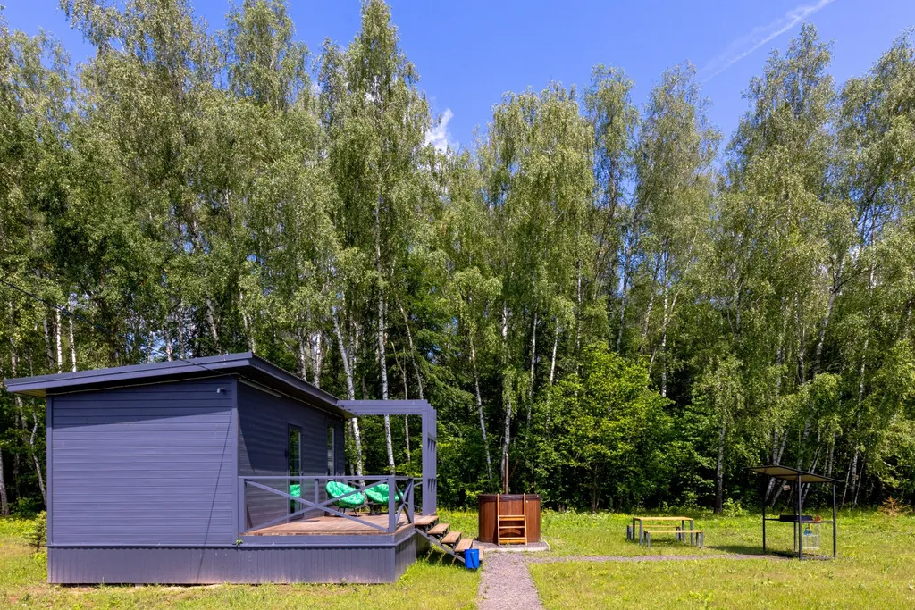 Уютный дом на лоне природы у лесной полосы