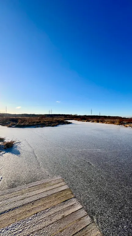 Zavidovo River house