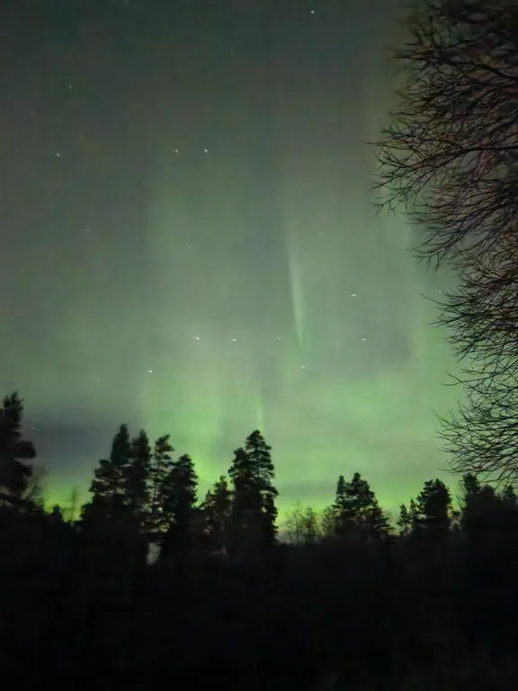 Белка дом с камином и сауной