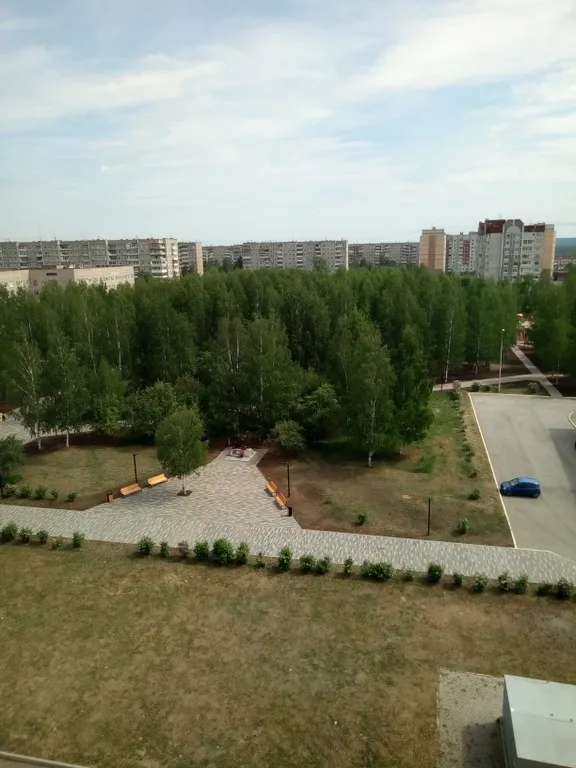 Уютная квартира с видом на парк