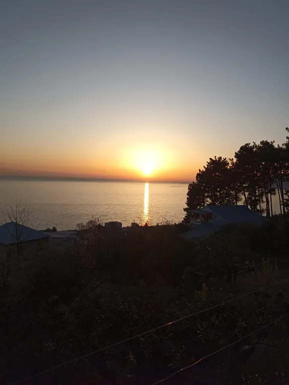 Квартира Комната — Гагра