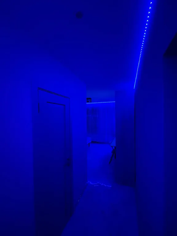 Квартира 1-комнатная Квартира — Санкт-Петербург