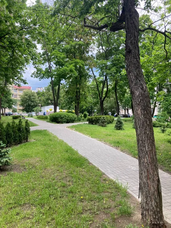 Квартира Квартира на проспекте Независимости — Минск