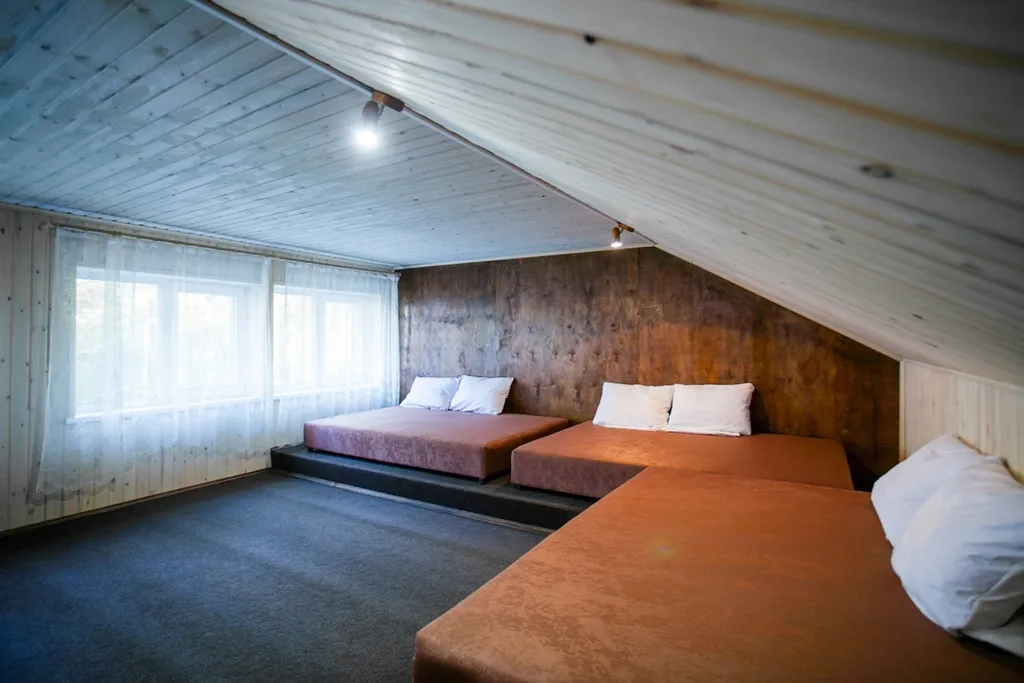 Коттедж в сосновом лесу