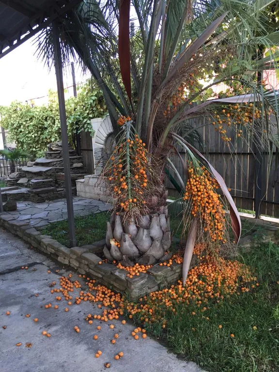 Отдельно стоящий коттедж