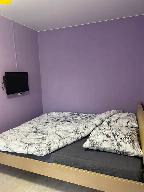 Квартира в центре между музеем имени Бурылина и ТЦ Серебряный город