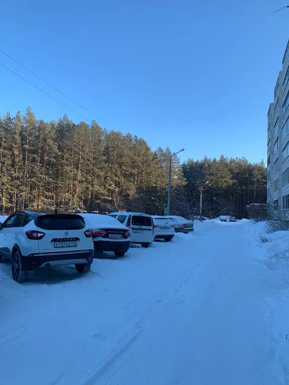 Современная кваpтирa в сосновом бору в 5 минутах от центра города