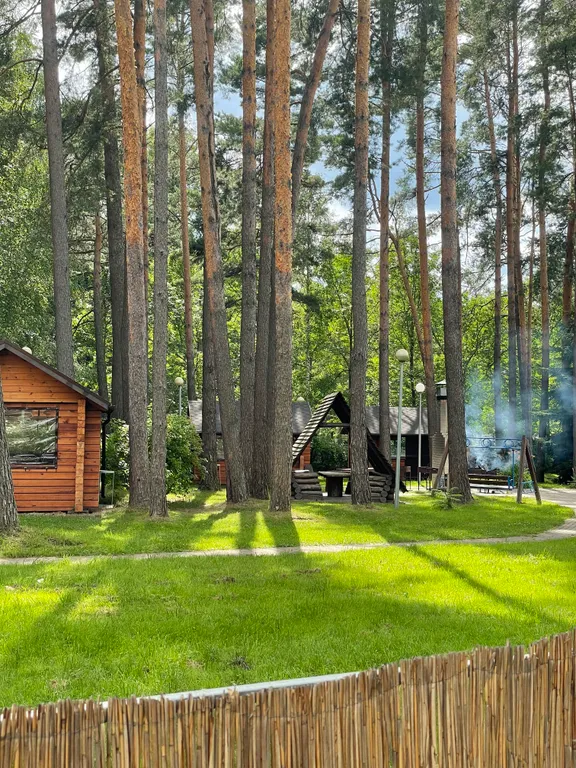 Великолепная квартира в сосновом бору на берегу водохранилища