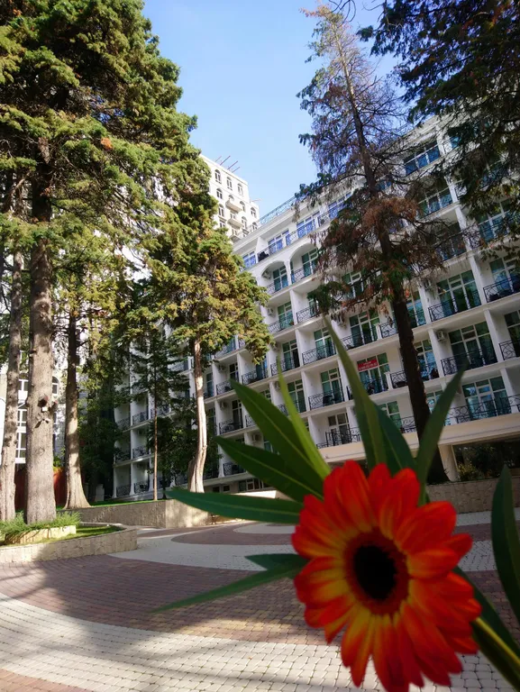 Квартира Квартира Центр Сочи, парк Дендрарий, у моря — Сочи