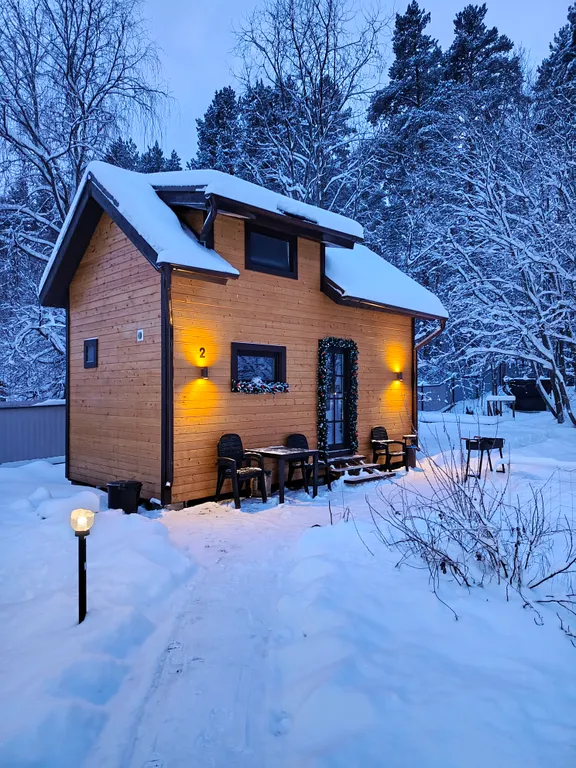 Коттедж Коттедж Shuya Tiny House 2 — Петрозаводск