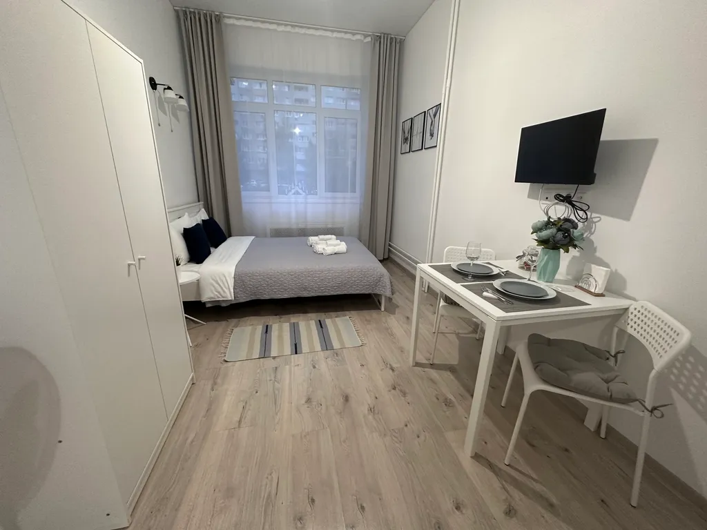 Уютный апартамент