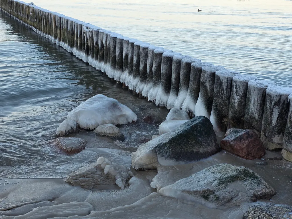 Коттедж Уютный дом у Соснового парка и моря — Пионерский