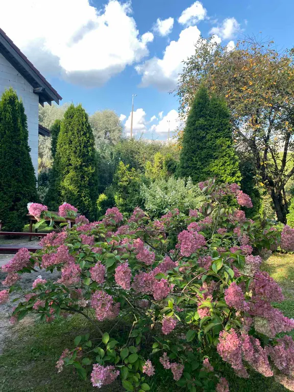 Коттедж Alex Paradise