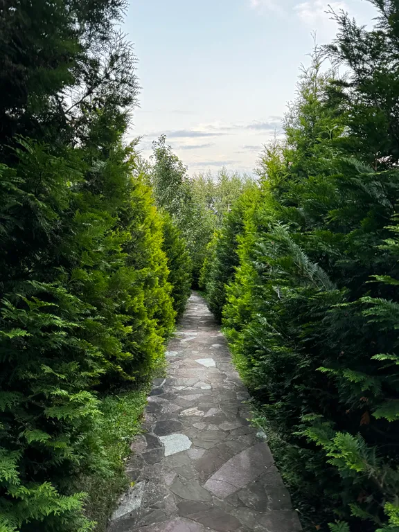 Уютное Бунгало в лесу у горнолыжного склона и пляжа Сорочаны