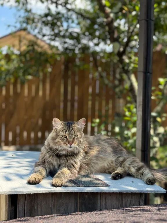 Дом в горах