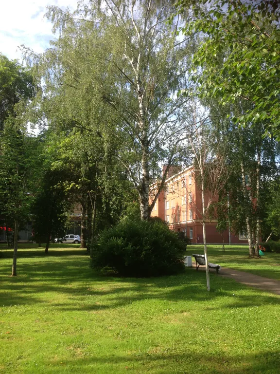 Петергофский Парадиз